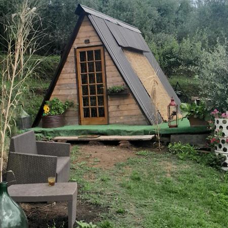 La Fatina Lodge Barga Exterior foto